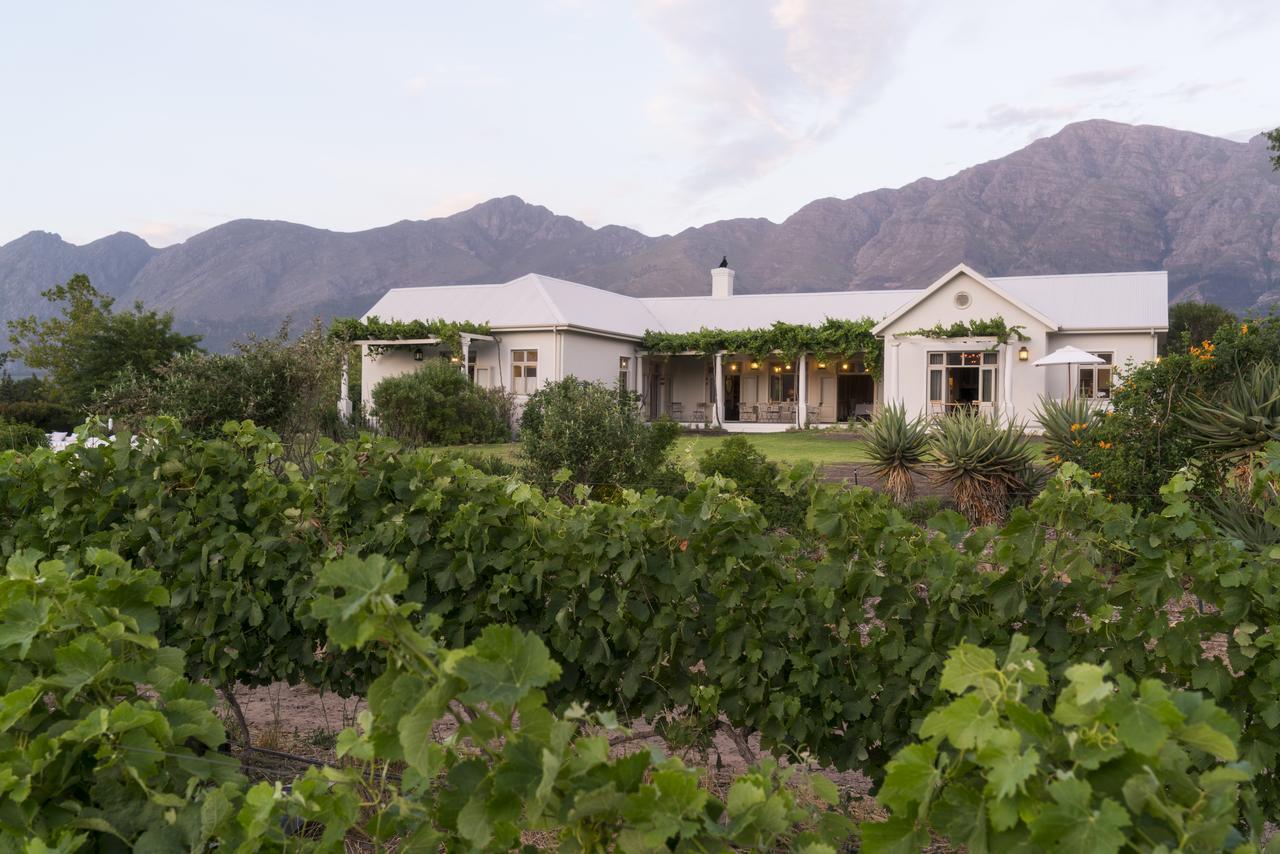 Cape Vue Country House Hotel Franschhoek Kültér fotó