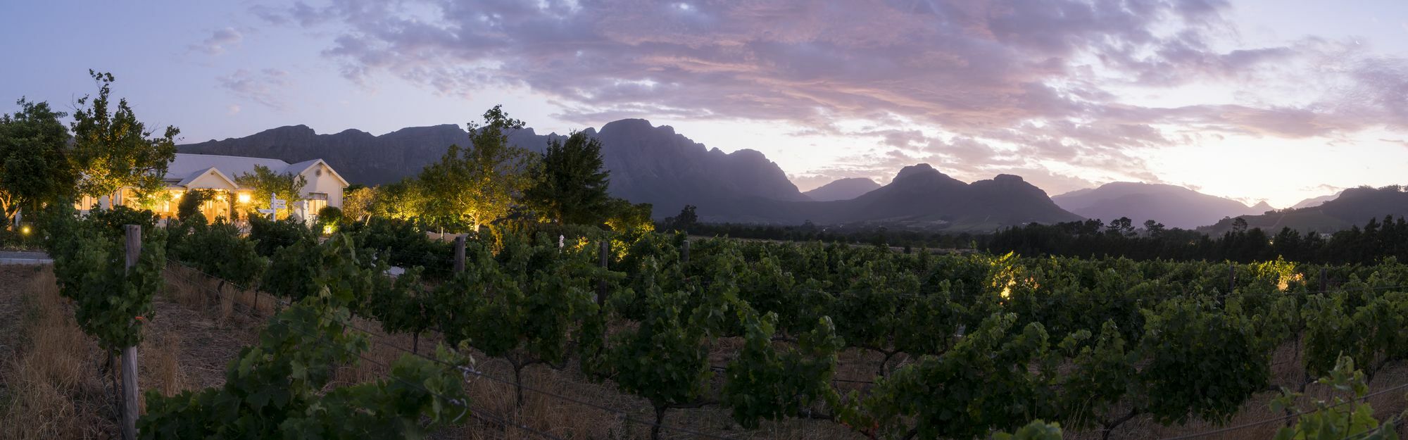 Cape Vue Country House Hotel Franschhoek Kültér fotó