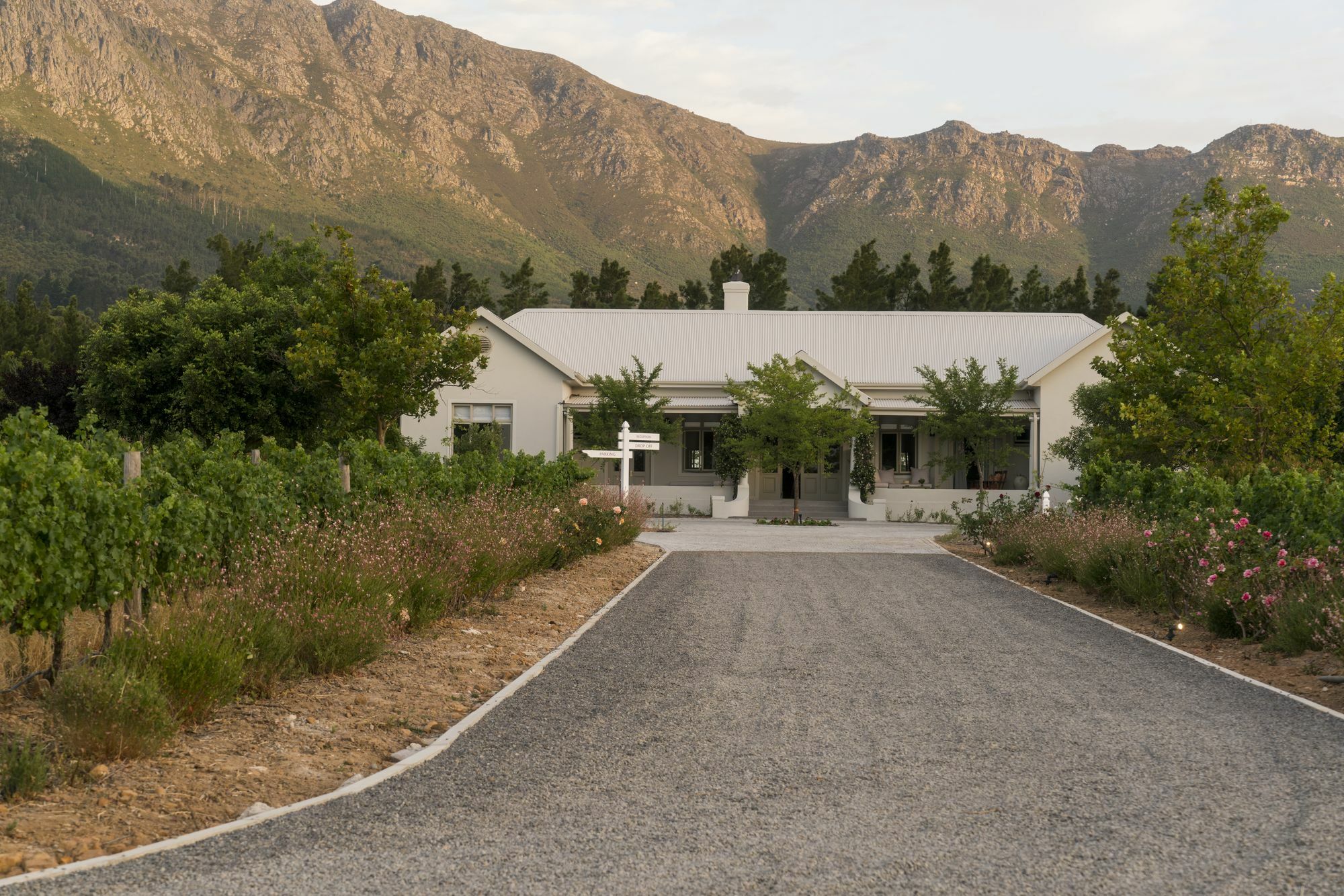 Cape Vue Country House Hotel Franschhoek Kültér fotó